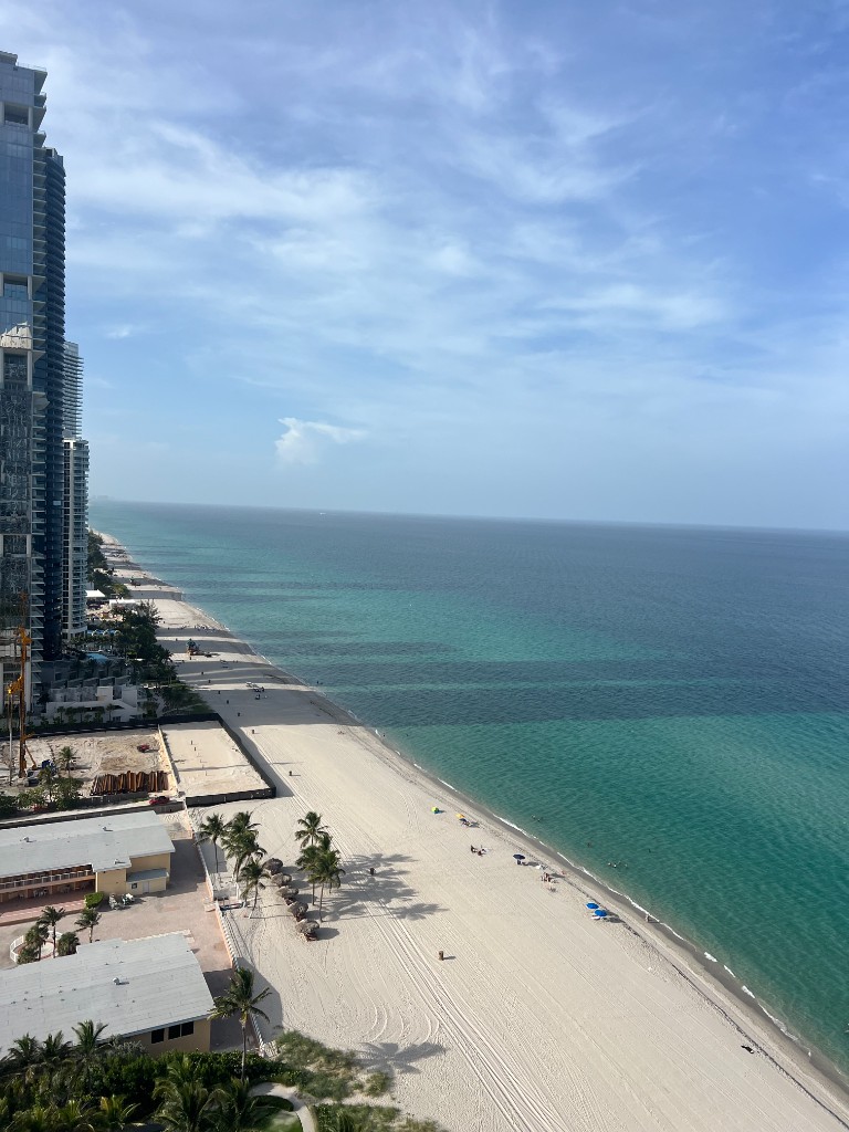 Oceanfront tower and beach development