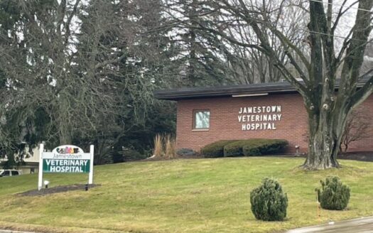 Jamestown Veterinary Hospital 667x500 1