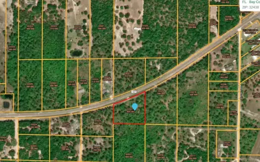 4.7 Acre Vacant Lot – Florahome FL